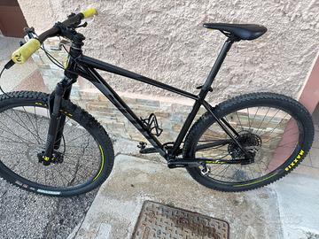 scott scale taglia L