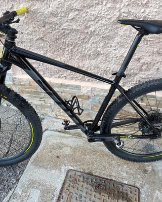 scott scale taglia L