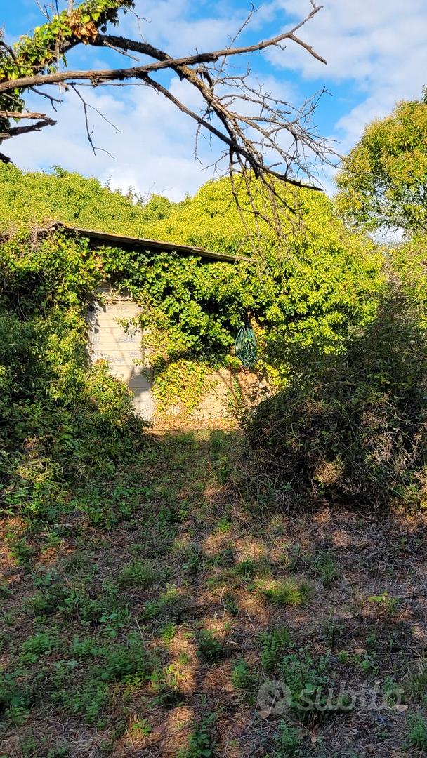 Terreno agricolo di 2500 mq con rustico sanato - Altro