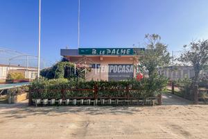 STABILIMENTO BALNEARE A TAGLIATA DI CERVIA