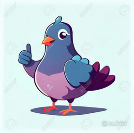 Coppie di colombi a Ceregnano