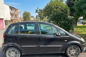 lancia musa