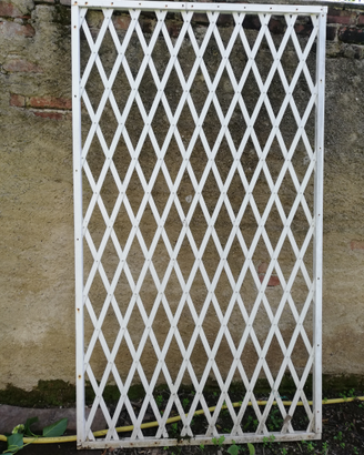 Griglia per rampicanti