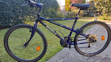 Bicicletta Bianchi  Ragno Thomisus 