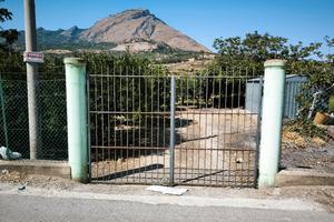 Agrumeto a 200 metri dalla SS113 Termini Imerese 