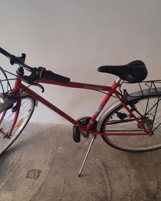 Bicicletta