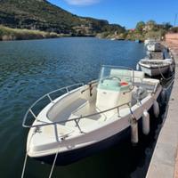 marinello 550 suzuki 4t 40/50 cv