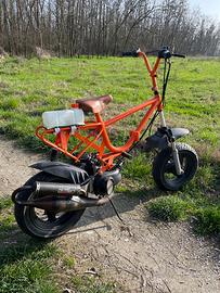 Graziella con blocco