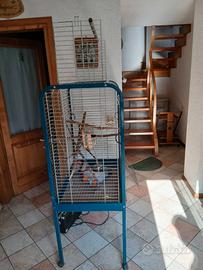 gabbia per pappagallo 