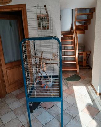 gabbia per pappagallo 
