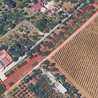 Terreno a Partinico, Contrada Parrini