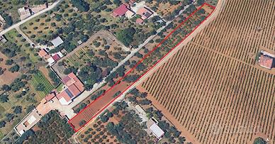 Terreno a Partinico, Contrada Parrini