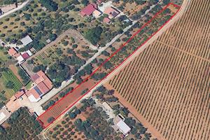 Terreno a Partinico, Contrada Parrini