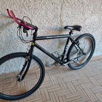 Bicicletta mountan bike pegaso 324