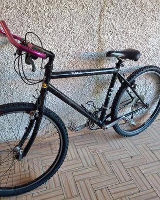 Bicicletta mountan bike pegaso 324