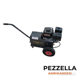 Generatore 12V Carrellato – Motore a Benzina