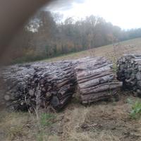 legna da ardere -top- leccio-cerro (secchi)