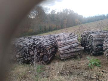 legna da ardere -top- leccio-cerro (secchi)