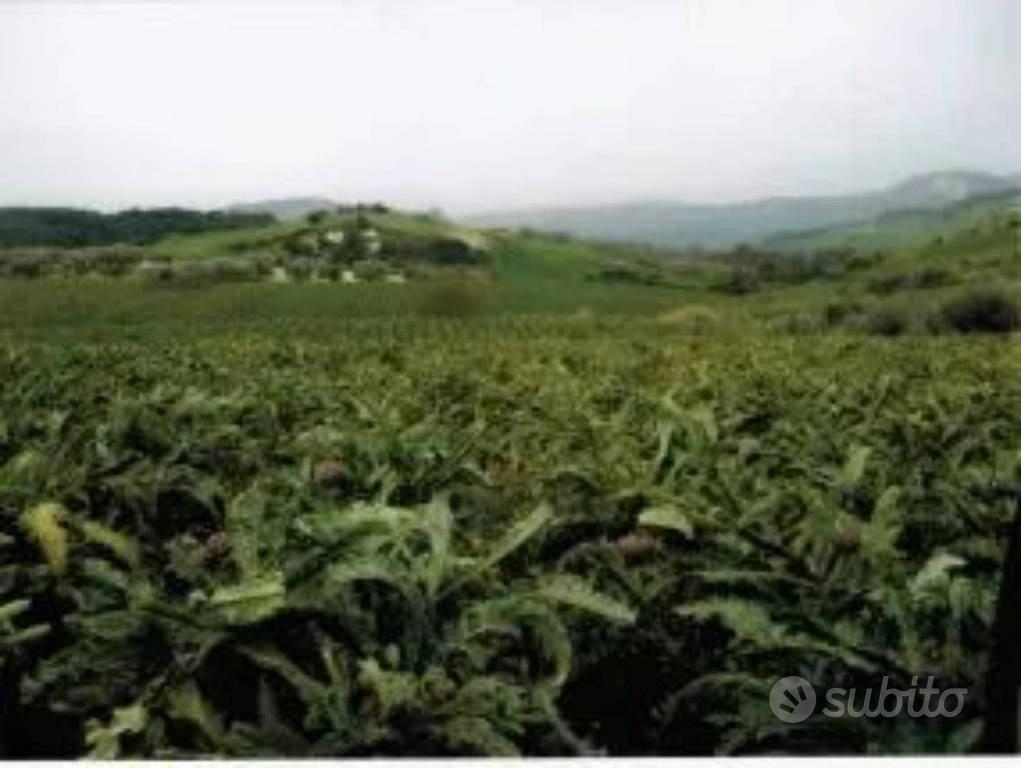 Immobile in asta di 356829 m² a Mazzarino - Vista 3