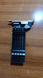 scheda video Asus Geforce Gt 620