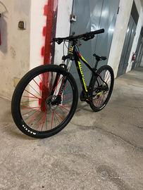 Bici MTB