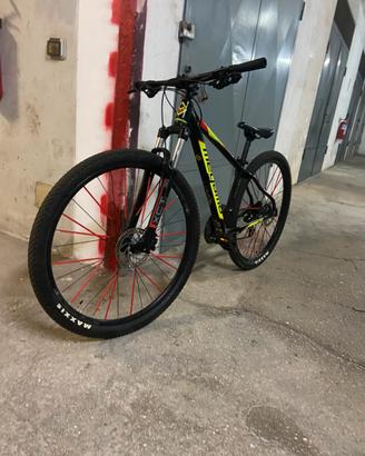 Bici MTB