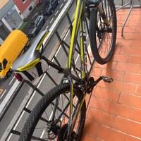 BLACK FOREST LTD 29 s