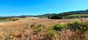 donori-ampio-terreno-loc-santa-barbara-