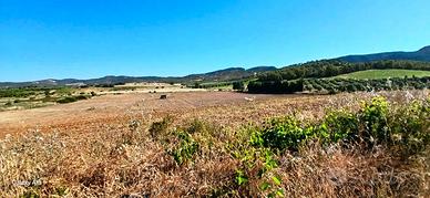 Donori- Ampio terreno loc. "Santa Barbara"
