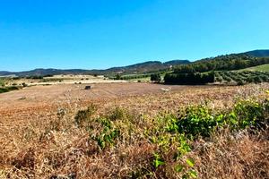 Donori- Ampio terreno loc. "Santa Barbara"