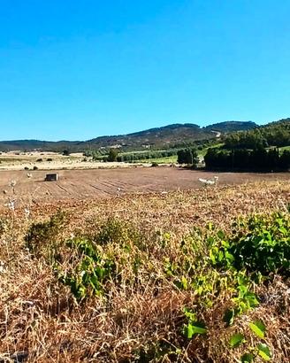 Donori- Ampio terreno loc. "Santa Barbara"