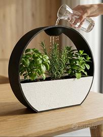 Vaso moderno