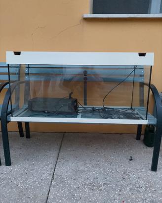 Acquario
