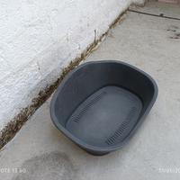 cuccia per cani