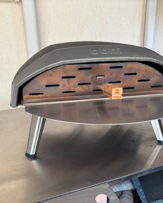 Forno a gas