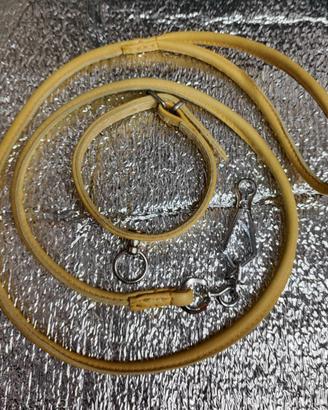 Completino Collarino e Guinzaglio in pelle