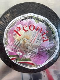 Formaggi