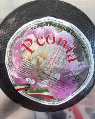 Formaggi
