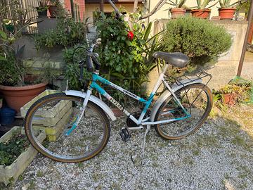 Bici mountain bike