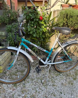 Bici mountain bike