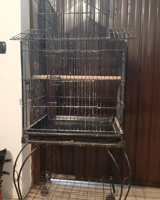 gabbia pappagalli / canarini 