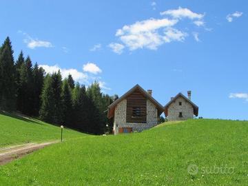 Masetti della luna e del sole primavera estate