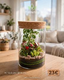 terrarium tropicale 