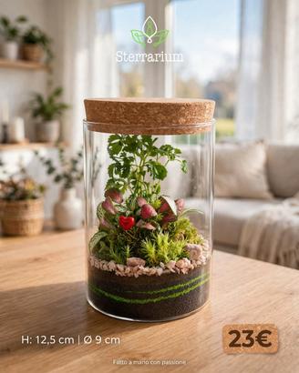 terrarium tropicale 