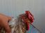 Immagine 5