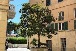 Immobile di 280 m² con più di 5 locali a Vado Ligu