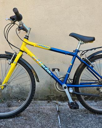 Bicicletta per ragazzini/e - Mountain Bike