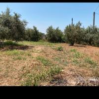 Terra per sbancamento