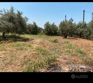 Terra per sbancamento