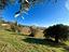 Immagine 24